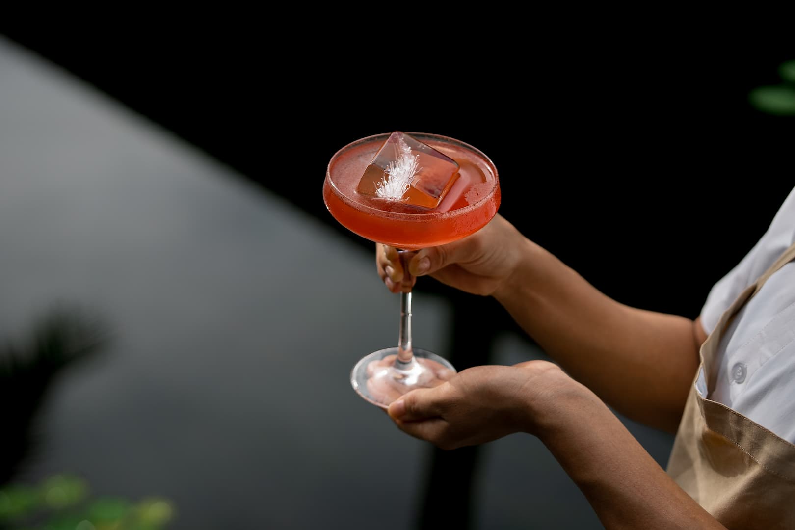  Welcome to Grand Estancia